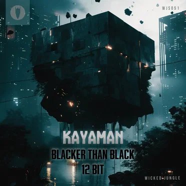 Blacker Than Black / 12 Bit by Kayaman - album cover