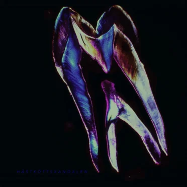 Spacegirls by Hästköttskandalen - album cover