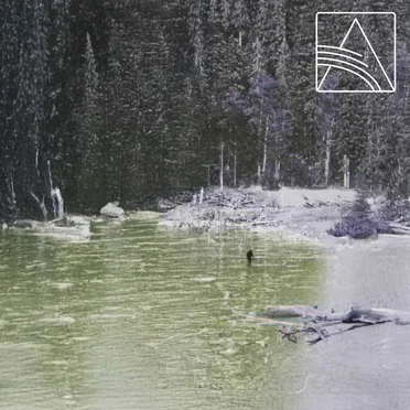 Forever Elusive by Forest Dweller - album cover