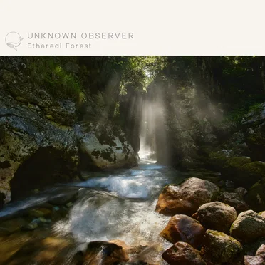 Ethereal Forest by Unknown Observer - album cover
