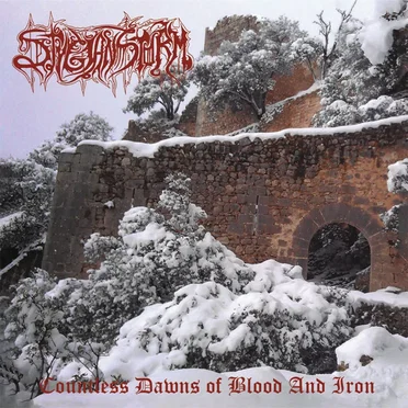 Countless Dawns of Blood and Iron by Stygian Storm - album cover