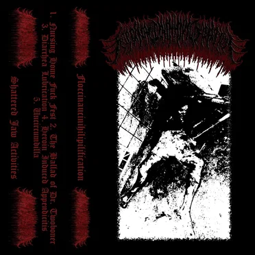 Floccinaucinihilipilification by Floccinaucinihilipilification - album cover