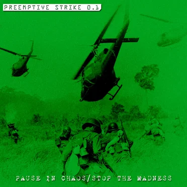 Pause in Chaos / Stop the Madness
