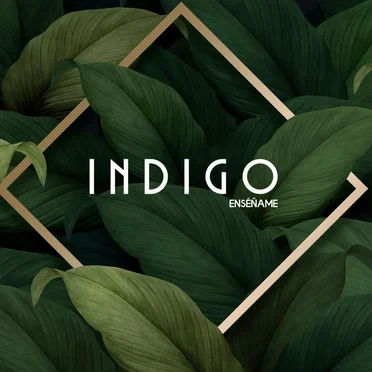 Enseñame by Indigo - album cover