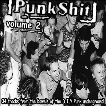 Punk Shit, Volume 2 by Various Artists - album cover