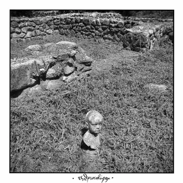 Ανθρωποβόρος by Τέλμα - album cover