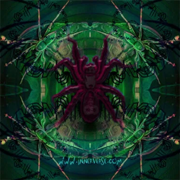 Spider Sign EP by Mantis - album cover