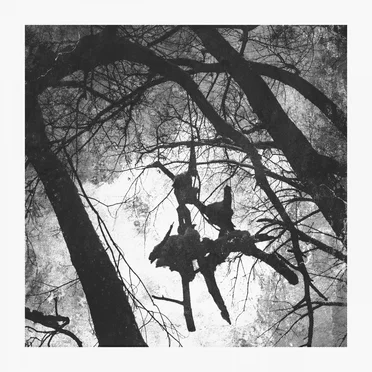 Death Exempt