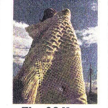 The 20 Year Afghan Project