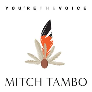 You're the Voice
