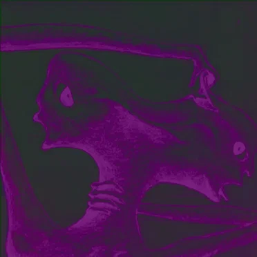 Psychotic by Le Wanski - album cover