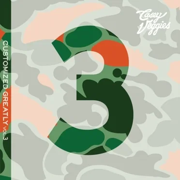 Customized Greatly, Volume 3 by Casey Veggies - album cover