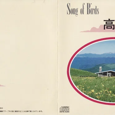 Song of Birds - 高原の鳥