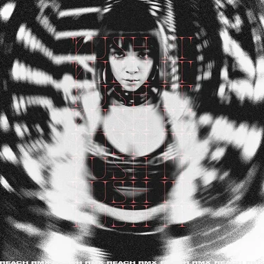 PUSH IT (Reach remix)