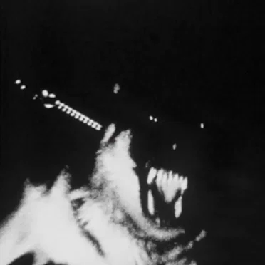 XVII