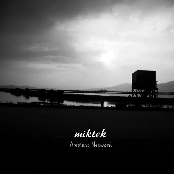 Ambient Network