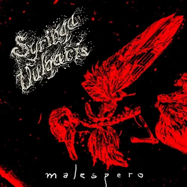 Malespero by Syringa Vulgaris - album cover