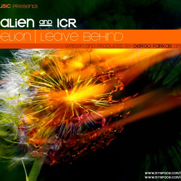 Dandelion / Leave Behind