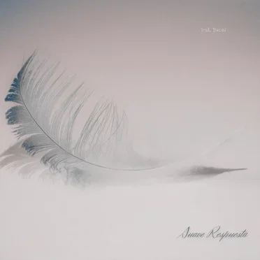 Suave respuesta by José Bruin - album cover