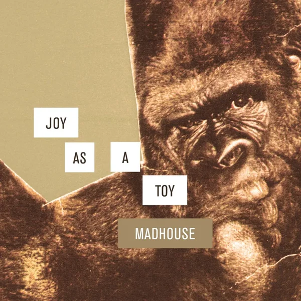 Madhouse (radio edit)