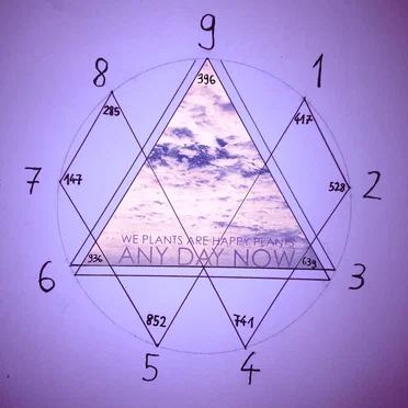Any Day Now by We Plants Are Happy Plants - album cover