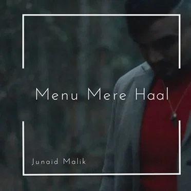 Menu Mere Haal by Junaid Malik - album cover