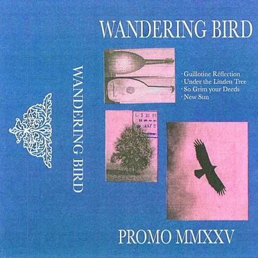 Promo MMXXV by Wandering Bird - album cover