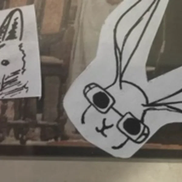 🦊 / 🐰