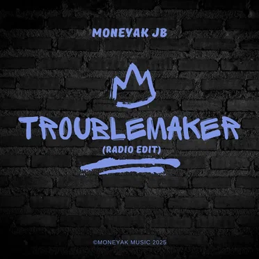 Troublemaker (Radio Edit)