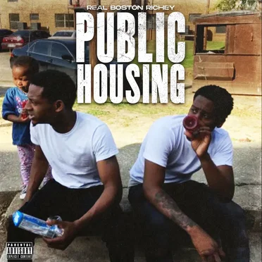 Public Housing by Real Boston Richey - album cover