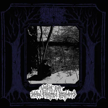 Under the Snow Covered Branches by Witches Forest - album cover
