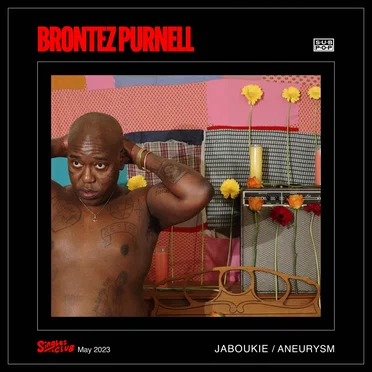 Brontez Purnell