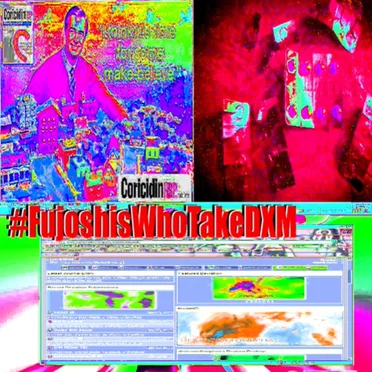 #FujoshisWhoTakeDXM by DEXTRONAUTICUS - album cover