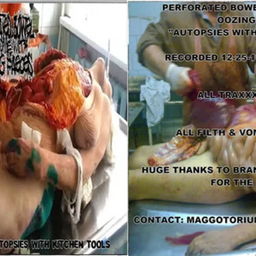 Autopsies With Kitchen Tools