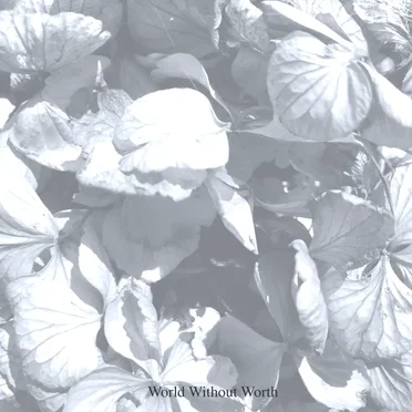 World Without Worth