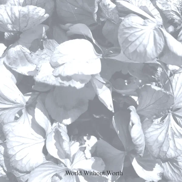 World Without Worth