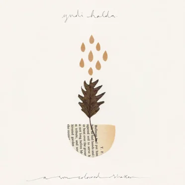A Sun‐Coloured Shaker by Yndi Halda - album cover