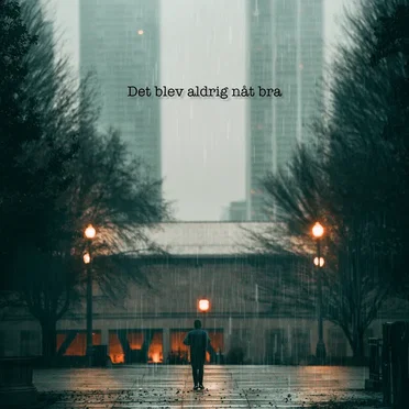 Det blev aldrig nåt bra