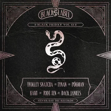 Black Friday, Vol. 12 by Various Artists - album cover