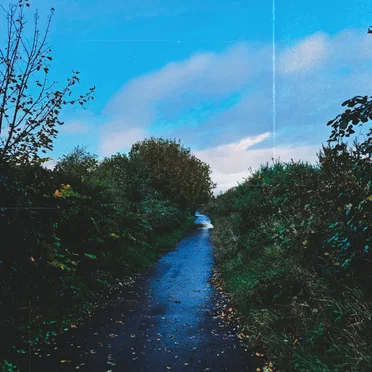 It’s All We Need by Evergreen Avenue - album cover