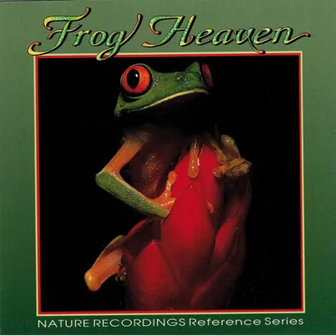 Frog Heaven by Richard Hooper - album cover