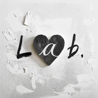 Lab. (Instrumental) by go!go!vanillas - album cover