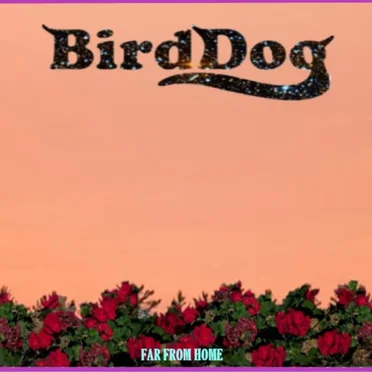 Far From Home by BirdDog - album cover