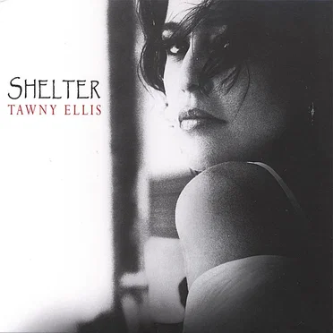 Shelter by Tawny Ellis - album cover