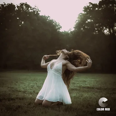 In Your Dreams by NOA - album cover