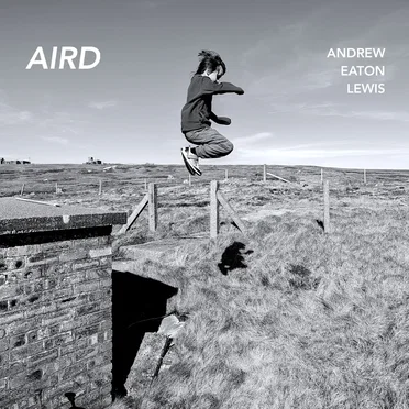 AIRD by Andrew Eaton-Lewis - album cover