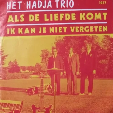 Als de liefde komt / Ik kan je niet vergeten