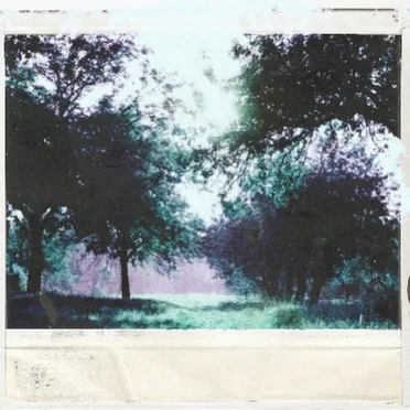 (The Fall)Eden