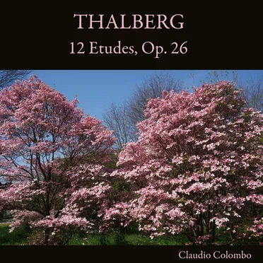 12 Etudes, Op. 26