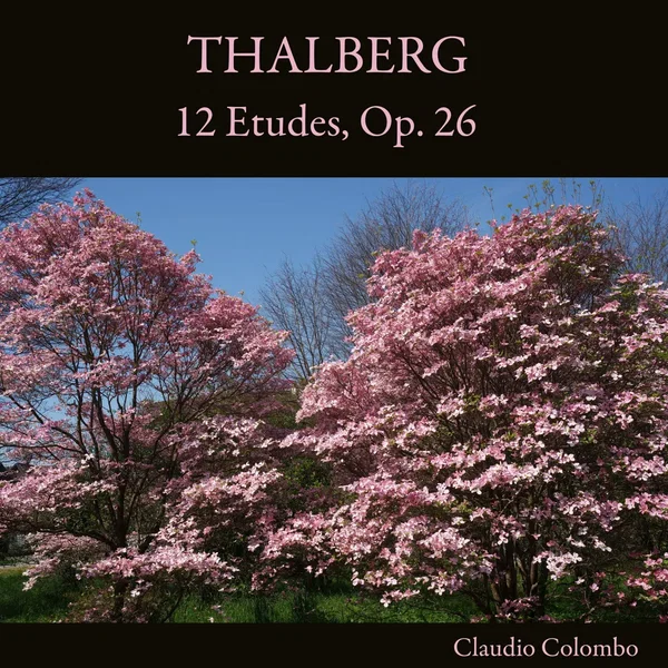 12 Etudes, Op. 26